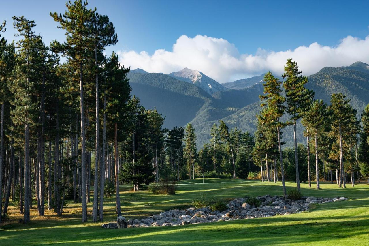 Luxury Chalets Pirin Golf & Country Club 班斯科 外观 照片